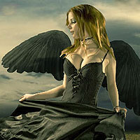 Design Surreal Composition Fallen Angel’s Dream Fly