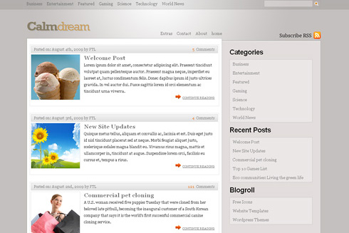 Calm in 40 Free High-Quality WordPress Themes