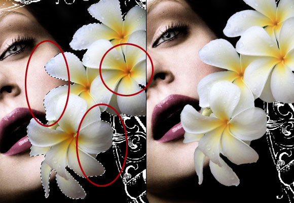 Design a Stunning French Perfume Advert Poster - PS Tutorials Lorelei Web Design Design a Stunning French Perfume Advert Poster - PS Tutorials Lorelei Web Design