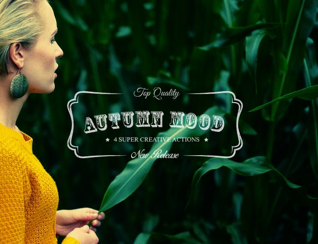 Autumn Mood - 4 Premium Photoshop Actions - Premium Downloads Lorelei Web Design