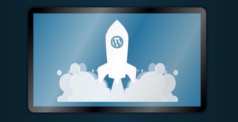 5 Reasons Why You Should Base Your Ecommerce Business on WordPress - Blog Lorelei Web Design