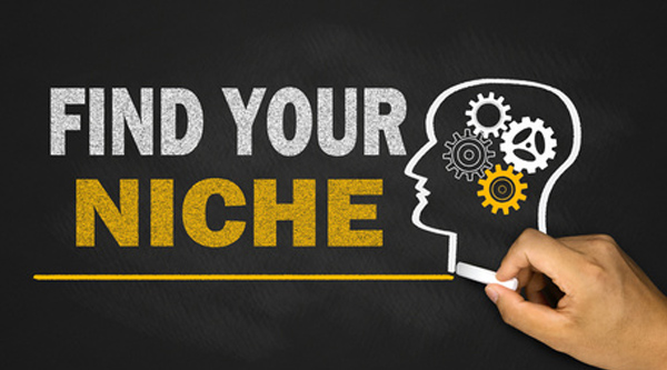 How to Pick a Profitable Blog Niche - Blog Lorelei Web Design How to Pick a Profitable Blog Niche - Blog Lorelei Web Design