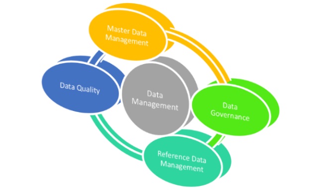 Understanding How a Data Management Program Supports Your Marketing Effort - Blog Lorelei Web Design