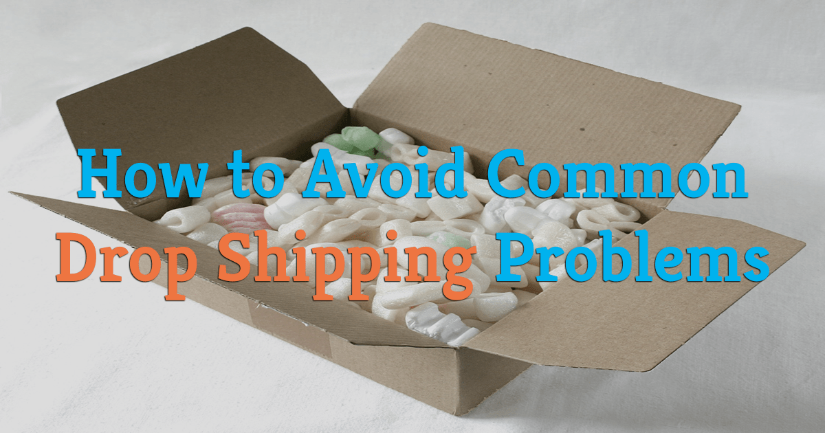 How To Protect Yourself From Logistic Problems With Your Dropshipping Company - Blog Lorelei Web Design