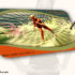 Create A Stylish Surfing Fashion Label Tag - Photoshop Tutorials Lorelei Web Design