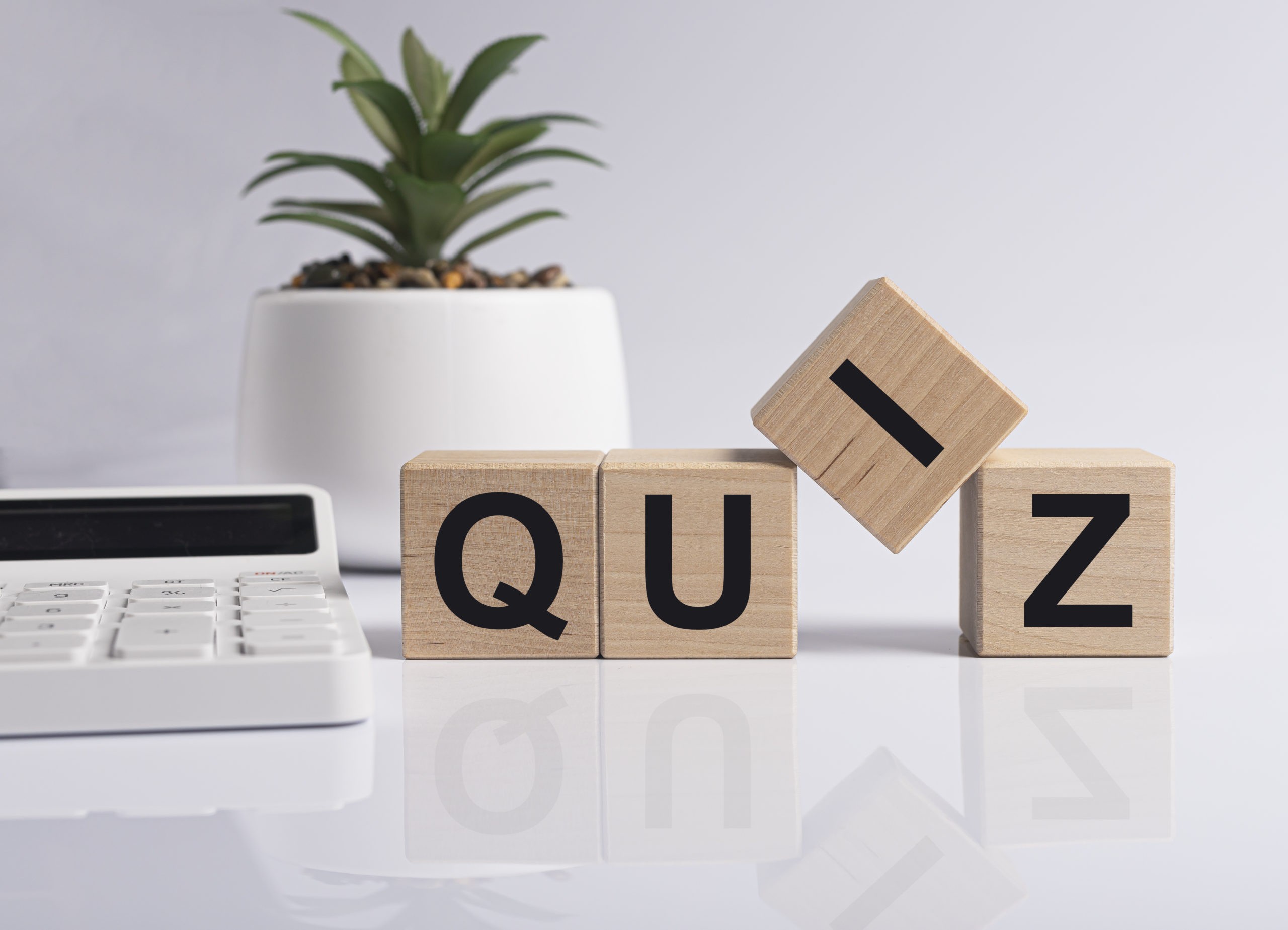 Why adding an Online Quiz to a Website is a Great Idea? - Blog Lorelei Web Design