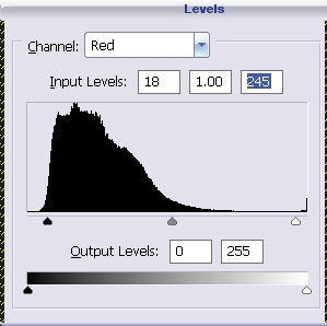Design a Surreal Fantasy Art Forest Flood Tale - PS Tutorials Lorelei Web Design