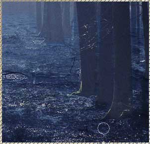 Design a Surreal Fantasy Art Forest Flood Tale - PS Tutorials Lorelei Web Design