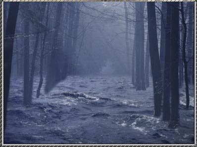 Design a Surreal Fantasy Art Forest Flood Tale - PS Tutorials Lorelei Web Design