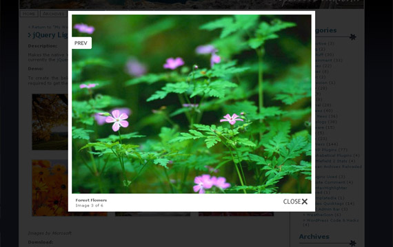 75 Best Wordpress Plugins That Make Bloggers Lives Easier - Blog Lorelei Web Design lightbox-native-gallery-wordpress-jquery-plugin