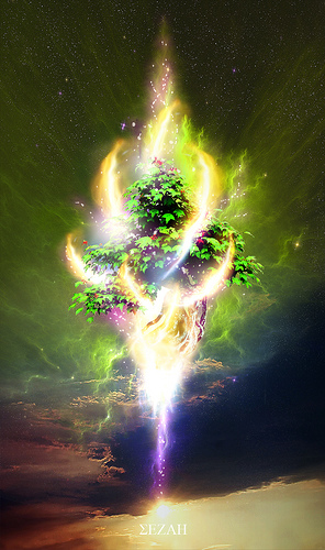 Best of: Glow - Photography and Design Inspiration - Blog Lorelei Web Design skybonsai by _sezah.