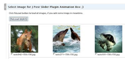 75 Best Wordpress Plugins That Make Bloggers Lives Easier - Blog Lorelei Web Design j-post-slider-animation-wordpress-jquery-plugin